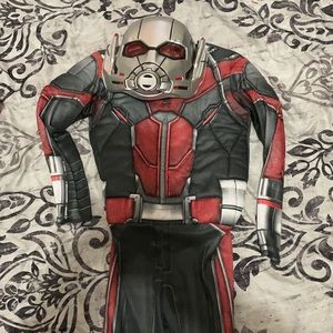 Antman costume